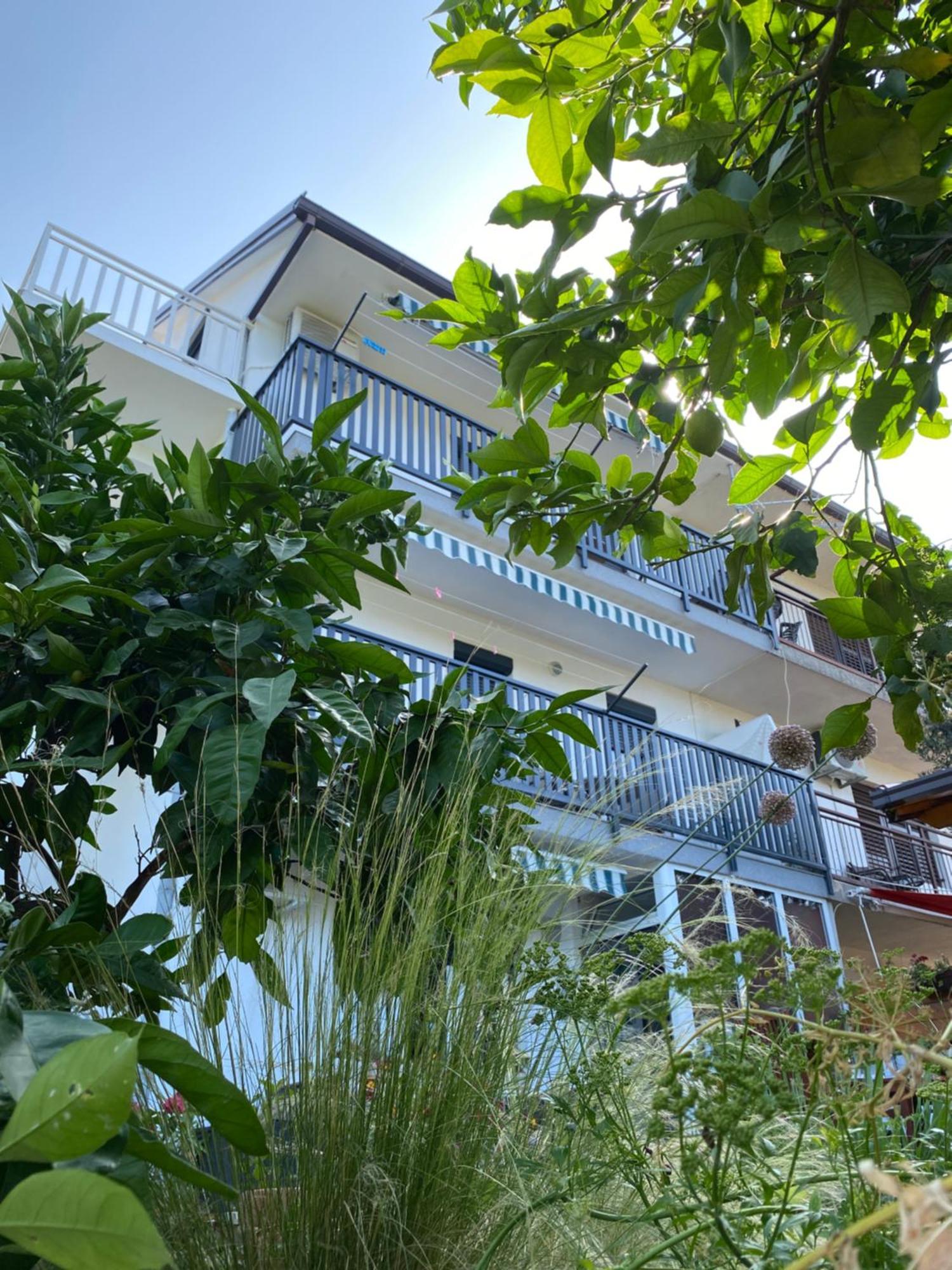 Villa Drazana Gradac  Dış mekan fotoğraf